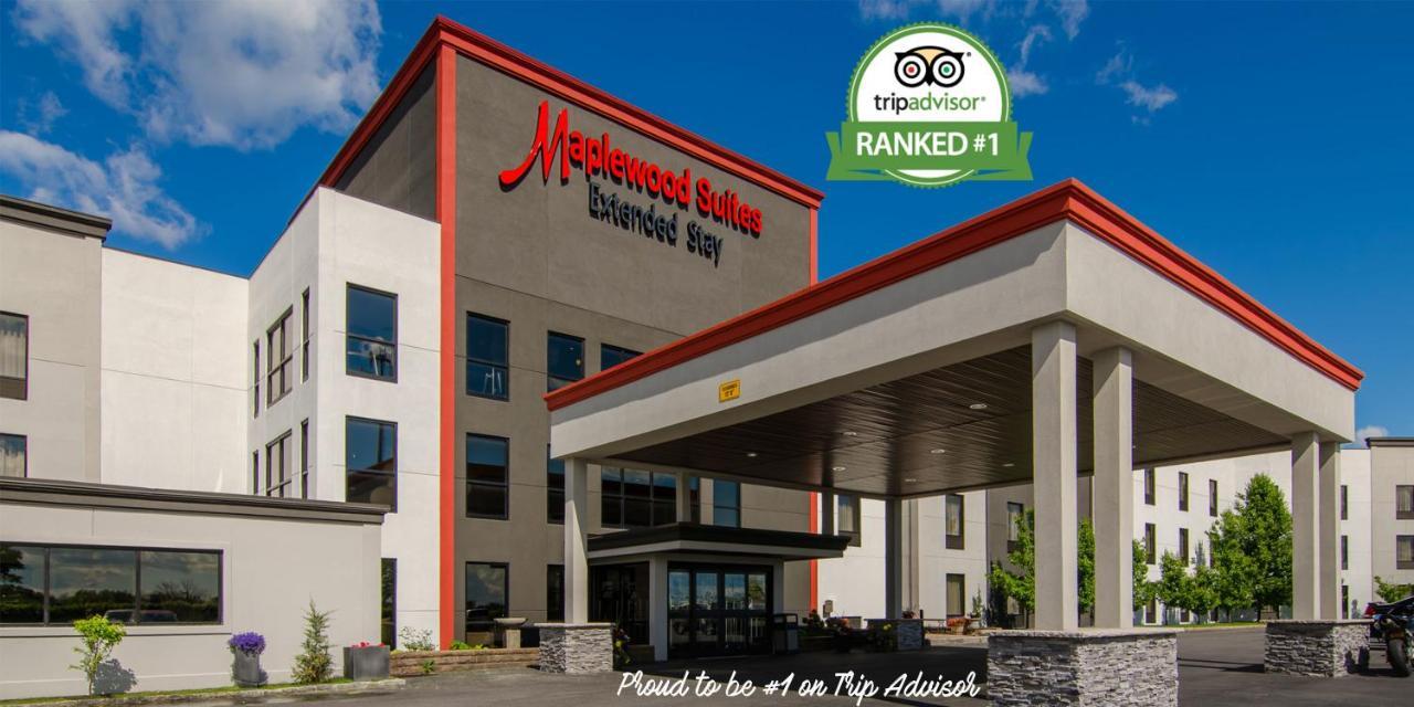 Holiday Inn & Suites Syracuse Airport - Liverpool By Ihg Kültér fotó